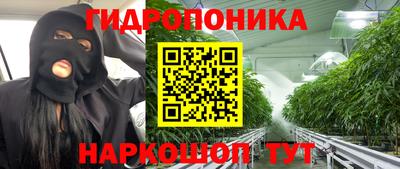 прущие грибы Гатчина