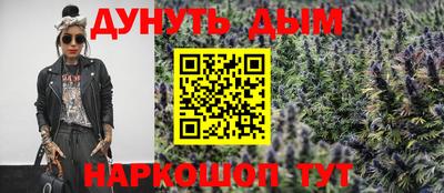 прущие грибы Гатчина