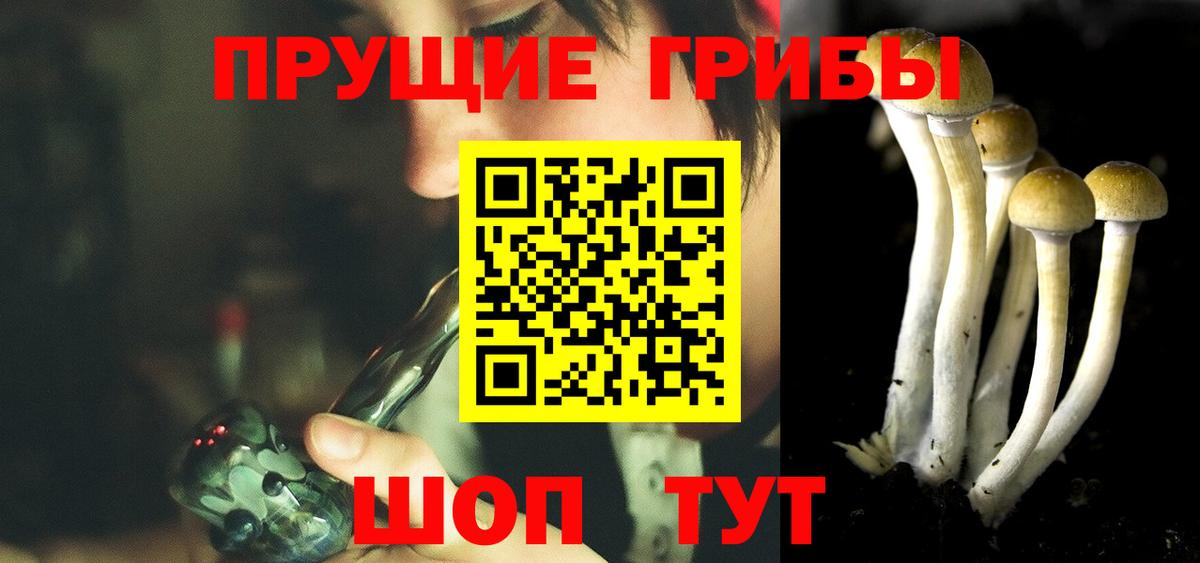 Галлюциногенные грибы GOLDEN TEACHER  Вход с VPN  Галлюциногенные грибы мухоморы  Муром 